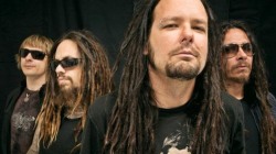 korn