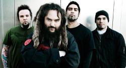 Soulfly2010